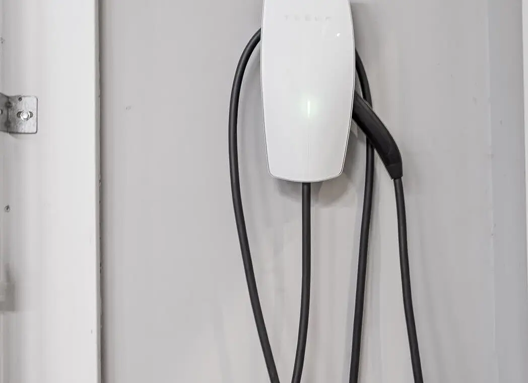 77e59fdb 185c 41 zoGnG