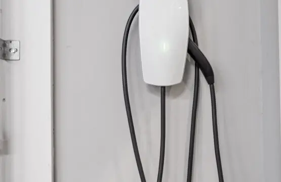 77e59fdb 185c 41 zoGnG